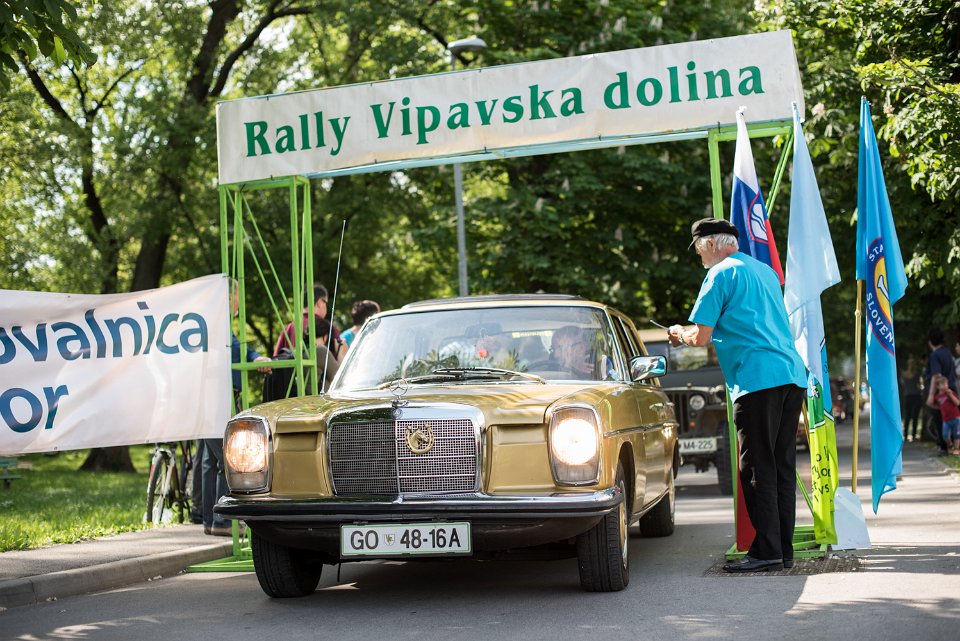 RALLYVIPAVSKADOLINA-15