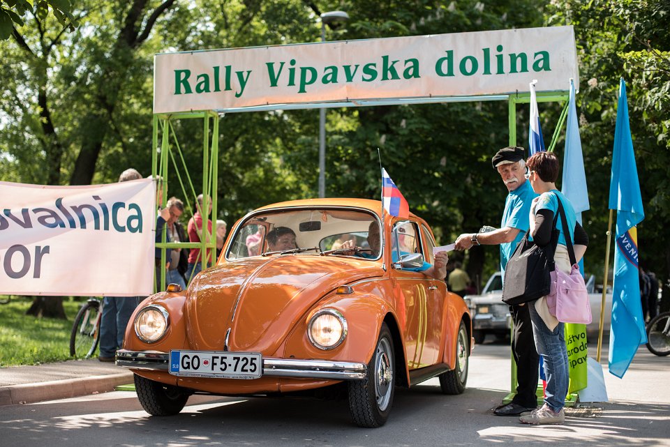RALLYVIPAVSKADOLINA-73