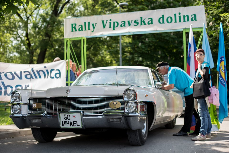 RALLYVIPAVSKADOLINA-74
