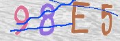 Captcha slika